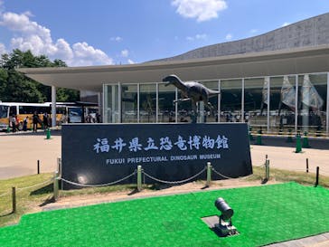 福井県立恐竜博物館に投稿された画像（2025/8/25）