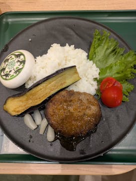 福井県立恐竜博物館に投稿された画像（2025/8/25）