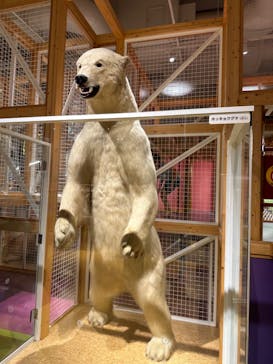 国立科学博物館に投稿された画像（2025/8/25）