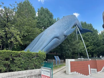 国立科学博物館に投稿された画像（2025/8/25）