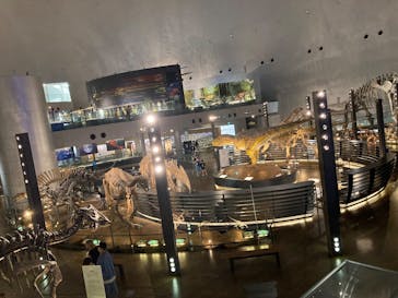 福井県立恐竜博物館に投稿された画像（2025/8/26）