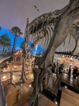 福井県立恐竜博物館に投稿された画像（2025/8/26）