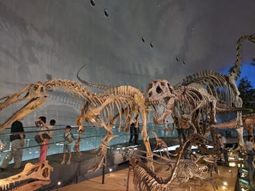 福井県立恐竜博物館に投稿された画像（2025/8/26）