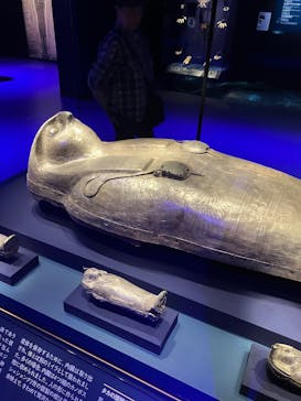 ACN ラムセス大王展 ファラオたちの黄金に投稿された画像（2025/8/26）