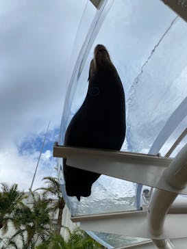 サンシャイン水族館に投稿された画像（2025/8/26）