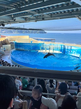 新江ノ島水族館に投稿された画像（2025/8/26）
