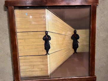 東京トリックアート迷宮館に投稿された画像（2025/8/26）