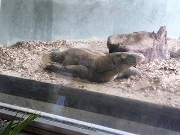 名古屋市東山動植物園に投稿された画像（2025/8/26）