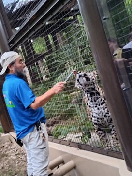名古屋市東山動植物園に投稿された画像（2025/8/26）