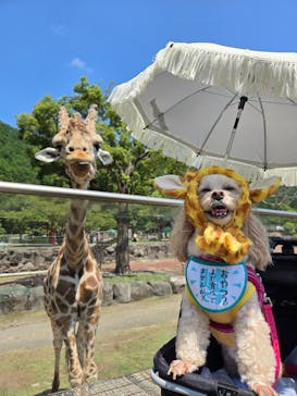 伊豆アニマルキングダムに投稿された画像（2025/8/26）