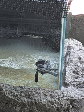 葛西臨海水族園に投稿された画像（2025/8/26）