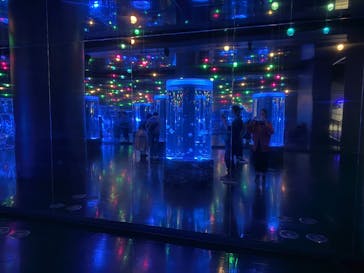 マクセル アクアパーク品川に投稿された画像（2025/8/26）