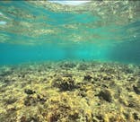 武藤潜水に投稿された画像（2025/8/26）