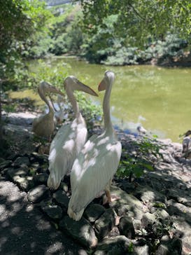 ネオパークオキナワに投稿された画像（2025/8/26）