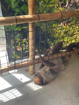 ネオパークオキナワに投稿された画像（2025/8/26）