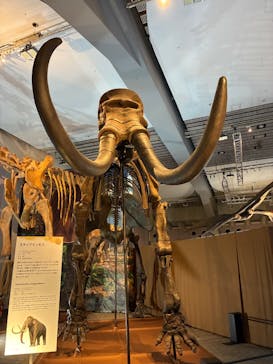 巨大恐竜展2025に投稿された画像（2025/8/26）