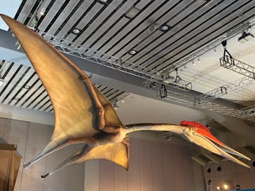 巨大恐竜展2025に投稿された画像（2025/8/26）