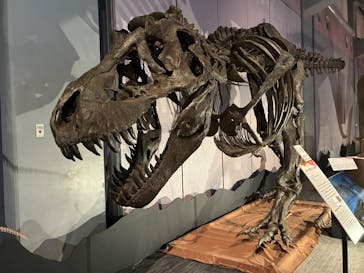 巨大恐竜展2025に投稿された画像（2025/8/26）