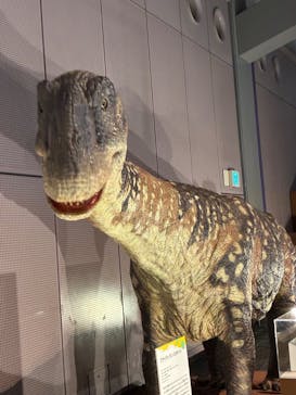 巨大恐竜展2025に投稿された画像（2025/8/26）