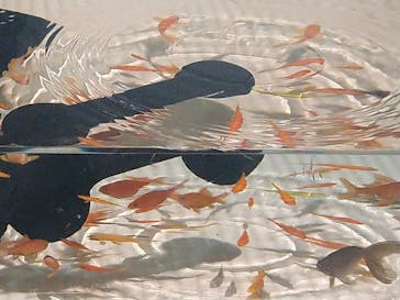 あべのハルカス美術館に投稿された画像（2025/8/26）