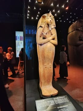 ACN ラムセス大王展 ファラオたちの黄金に投稿された画像（2025/8/26）