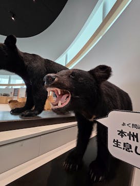 ブルックリン博物館所蔵　特別展　古代エジプト（豊田会場）に投稿された画像（2025/8/26）