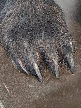 ブルックリン博物館所蔵　特別展　古代エジプト（豊田会場）に投稿された画像（2025/8/26）