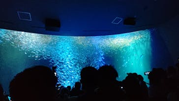 名古屋港水族館に投稿された画像（2025/8/26）