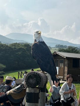 那須どうぶつ王国に投稿された画像（2025/8/26）