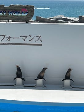 鴨川シーワールドに投稿された画像（2025/8/26）