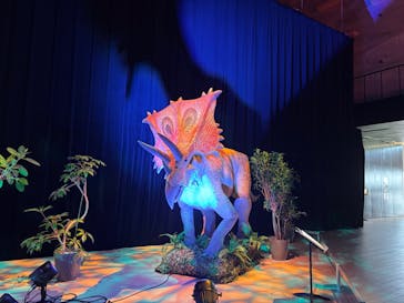 氷見 大恐竜博 @氷見市芸術文化館に投稿された画像（2025/8/26）