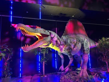 氷見 大恐竜博 @氷見市芸術文化館に投稿された画像（2025/8/26）