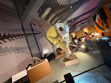 巨大恐竜展2025に投稿された画像（2025/8/26）