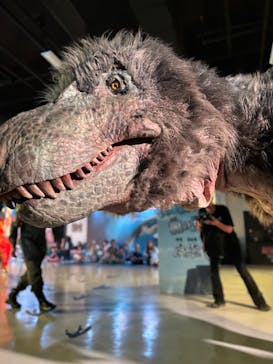 最強王図鑑フェスティバル in 東京タワーに投稿された画像（2025/8/26）