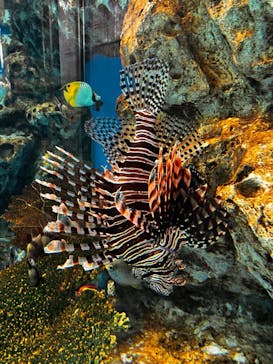 栃木県なかがわ水遊園に投稿された画像（2025/8/26）