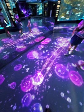 のとじま水族館に投稿された画像（2025/8/26）