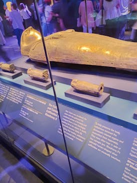 ACN ラムセス大王展 ファラオたちの黄金に投稿された画像（2025/8/26）