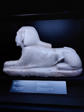 ACN ラムセス大王展 ファラオたちの黄金に投稿された画像（2025/8/26）