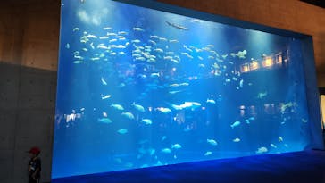四国水族館に投稿された画像（2025/8/26）