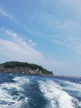 東尋坊観光遊覧船株式会社に投稿された画像（2025/8/26）