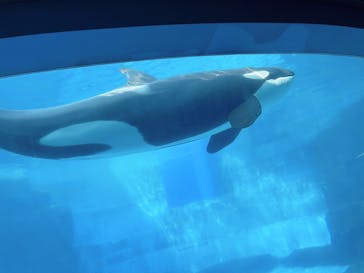 名古屋港水族館に投稿された画像（2025/8/26）