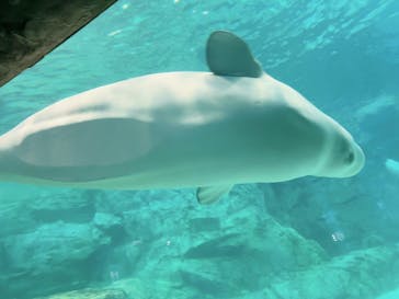 名古屋港水族館に投稿された画像（2025/8/26）