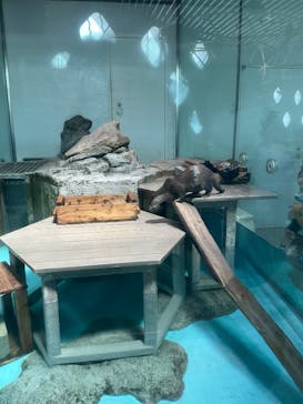 NIFREL（ニフレル）に投稿された画像（2025/8/26）