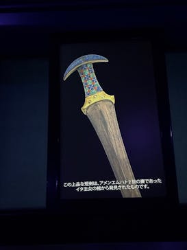 ACN ラムセス大王展 ファラオたちの黄金に投稿された画像（2025/8/26）