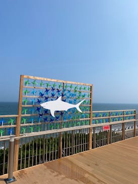 アクアワールド茨城県大洗水族館に投稿された画像（2025/8/26）