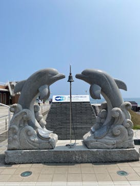 アクアワールド茨城県大洗水族館に投稿された画像（2025/8/26）