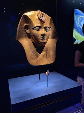 ACN ラムセス大王展 ファラオたちの黄金に投稿された画像（2025/8/26）