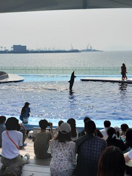 四国水族館に投稿された画像（2025/8/26）