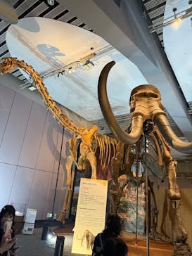 巨大恐竜展2025に投稿された画像（2025/8/26）