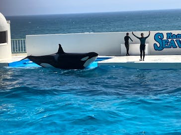 鴨川シーワールドに投稿された画像（2025/8/26）